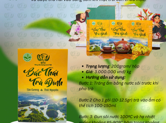 BẮC THÁI TRÀ ĐINH