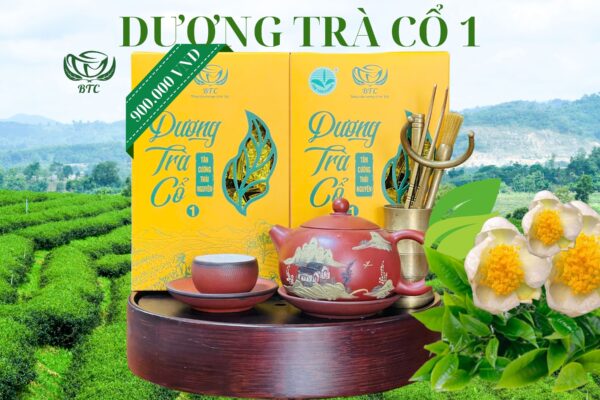 DƯƠNG TRÀ CỔ 1